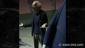 Larry David Rips Autograph Seekers, 'Find Another Way to Make Money!'