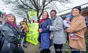 Bristol residents hold vigil in protest at plans to chop down trees