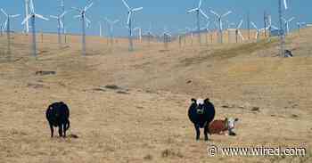 Do Carbon Offsets Really Work? It Depends on the Details