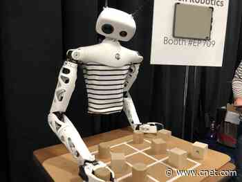 CES 2020: Little robots are ready to make the world better in a big way     - CNET