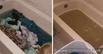 The 'super easy' £1 cleaning trick which strips dirt and grime from clothes