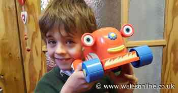 Boy, 7, killed by minibus loved toy cars and climbing trees