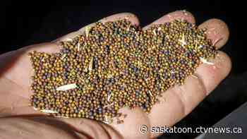 $11M pledged to increase capacity of Sask. crop industry