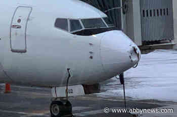 Victoria-bound flight rerouted to Vancouver after plane hit by multiple birds