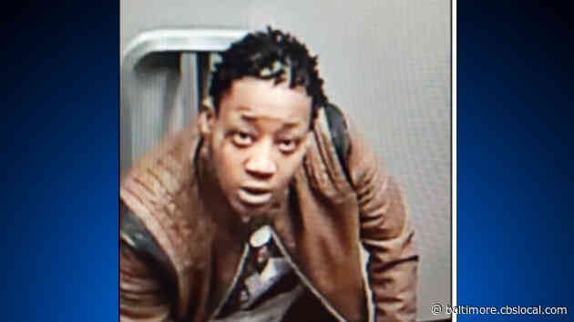 Woman Charged In Armed Theft Of Lobo The Dog