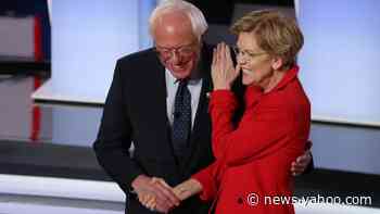 Elizabeth Warren is 'disappointed' by the talking points being distributed by Bernie Sanders's volunteers