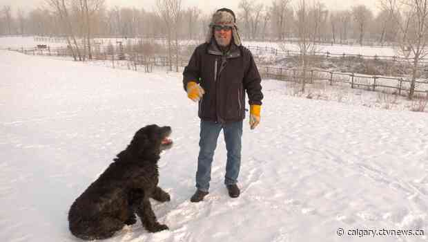 Calgary Humane Society reminds dog owners to limit time outdoors during cold snap