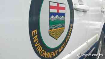 Illegal hunting in Stettler, Alta., area nets 13 people more than $63K in fines