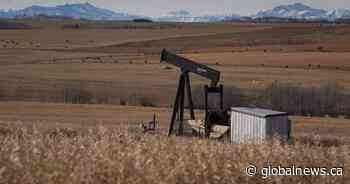 Alberta needs better rules to ensure polluters clean up wells: Orphan Well Association