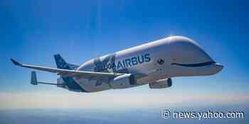 I Want to Ride This Whale