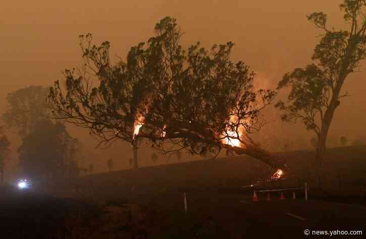 Hot and dry Australia could join the ranks of 'climate refugees'