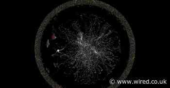 This little-known company is killing fake social media accounts