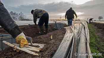 Gastarbeitermodelle sind eine sozioökonomische Katastrophe