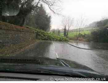 Divine providence saved me from falling tree during storm: ex-MLA