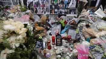 'The entire sky is grieving': 5 tributes paid to the victims of the Iran air disaster