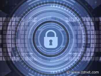 Critical bugs in WordPress plugins InfiniteWP, WP Time Capsule expose 320,000 websites to attack