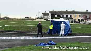 Gardai in Dublin recover human remains in burnt out car believed to be linked to missing teen (17)