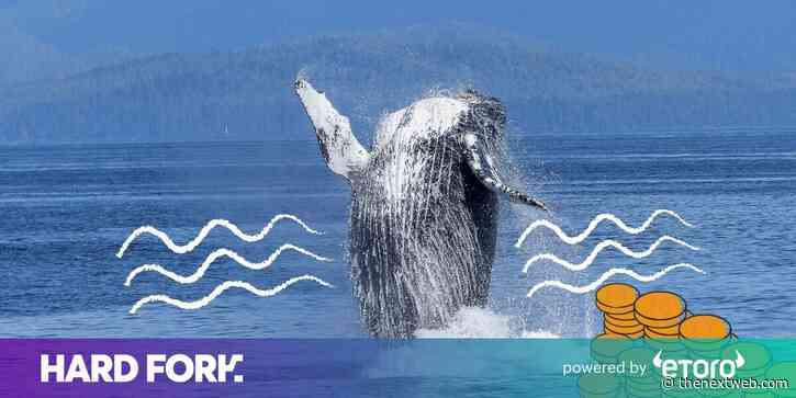 Bitcoin whale moves ball busting $1.1B for just $83
