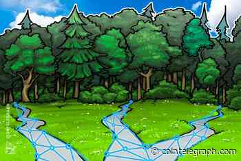 Blockchain Firm BitFury Partners With UN on Forest Project in Kazakhstan