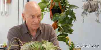 Picard star Patrick Stewart has no problem chatting with Data. Alexa's another thing     - CNET
