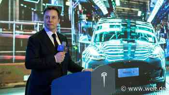 Tesla eröffnet Bürgerbüro in Grünheide im Kreis Oder-Spree