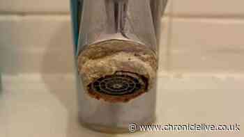 The 2p cleaning tip which will transform your taps from manky to magnificent