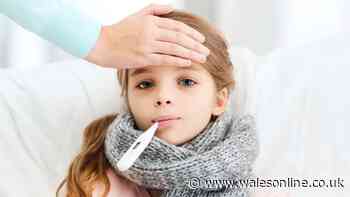 Mumps figures rocket in Wales with five times more suspected cases in 12 months