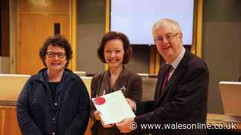 Teens aged 16 and over will vote in the next Assembly election as the Queen gives royal assent