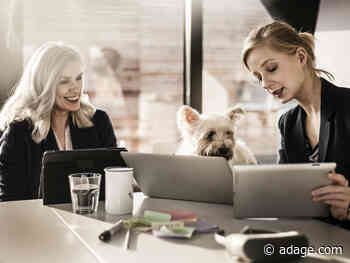 4 company naming strategies that helped me name my dog