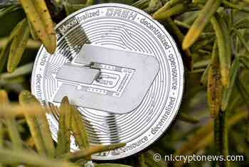 Dash stijgt met 70% in twee dagen - wat drijft de rally?