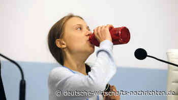 Verfassungsklage: Greta Thunberg-Anhänger wollen Deutschland zu mehr Klimaschutz zwingen