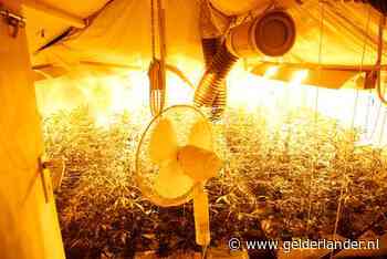 Nederlandse ambtenaar in Belgische cel om financieren wietplantages