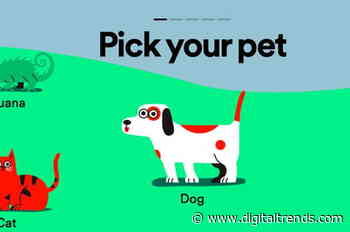 Does your dog love yacht rock? Find out with Spotify’s pet playlist generator