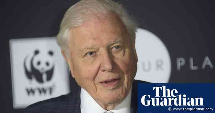 David Attenborough warns that humans have 'overrun the world'
