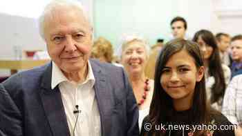 Teenage birdwatcher to receive honorary doctorate