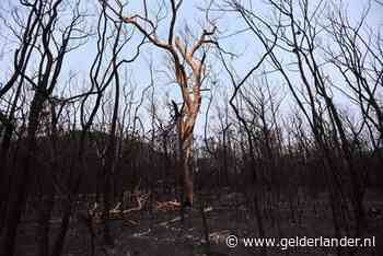 VN: 2019 op één na warmste jaar ooit, afgelopen decennium warmste ooit