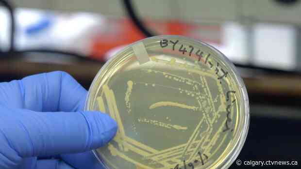 Calgary synthetic cannabinoid company lists on TSX