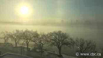 Planes, trains and automobiles: Deep freeze puts a chill on getting around in Edmonton