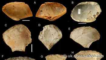 Neanderthals dove into the sea to collect shells – study