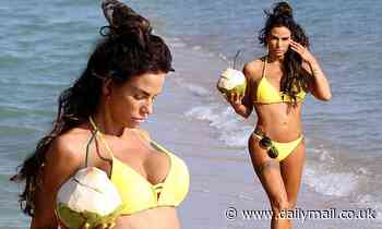 Katie Price wears yellow bikini on Thailand beach holiday