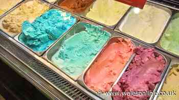 Public to test brand new ice cream flavours at this planned production centre