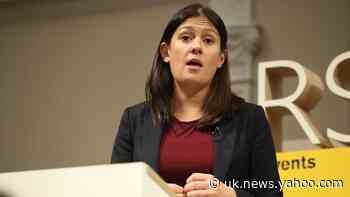 Investment in towns would have allayed free movement fears – Nandy