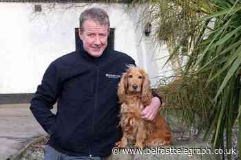 Co Down man Chris Hanlon on why he gave up finance career for detection dog training