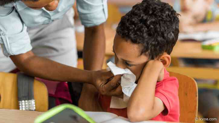 A high number of flu cases reported in Arizona