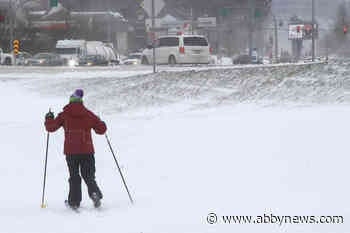 KEY STORM LINKS: Find the latest on Abbotsford weather, schools, roads, buses, power outages and other vital info