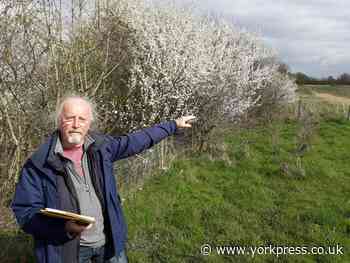 Friends of Rawcliffe Meadows to fold over 'inadequate' flood scheme