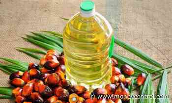 India#39;s palm oils import dips over 8% in December 2019: SEA