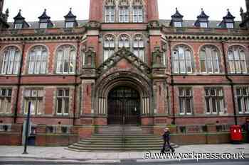 York dog owner in court after bulldogs attacked other pets