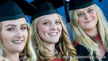 Swansea has some huge new student blocks but the question has been asked - 'are there too many?'