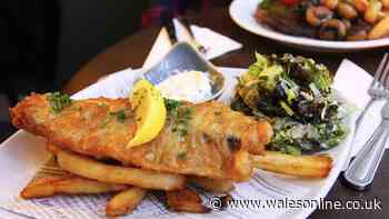 Free fish and chips being handed out tomorrow